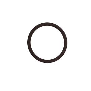 O-Ring, Viton